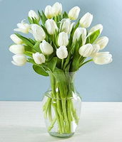 50 White Tulips with Glass Vase